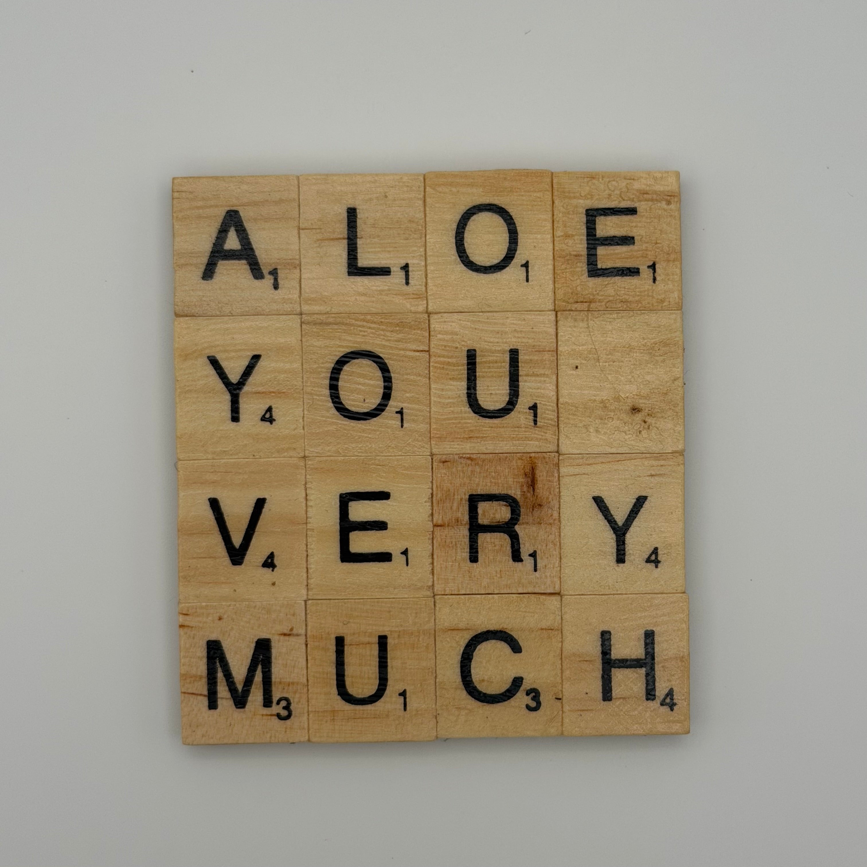 ‘Aloe You Very Much ’ Coaster
